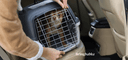 A dog in an IATA-approved travel crate at an airport cargo facility ready for international travel