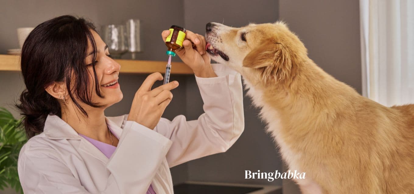A pet vaccination certificate open to a page showing an expiry date